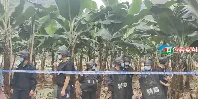 QQ截图20210503133545.webp