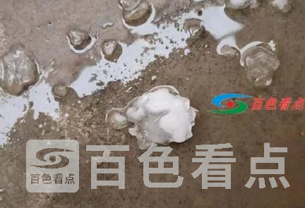 QQ截图20210509111554.webp