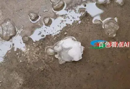 QQ截图20210509111554.webp