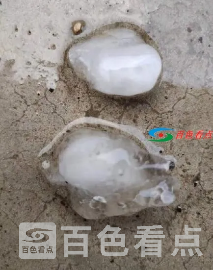 QQ截图20210509111601.webp