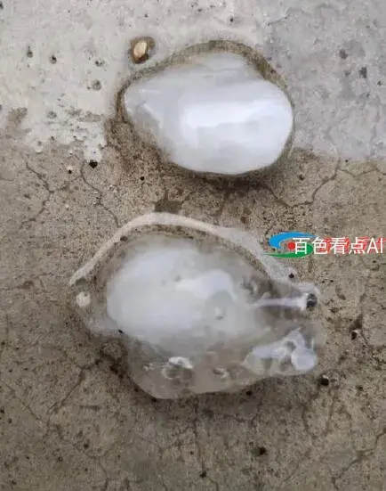 QQ截图20210509111601.webp