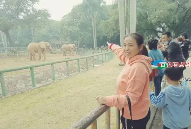 QQ截图20210517185524.webp