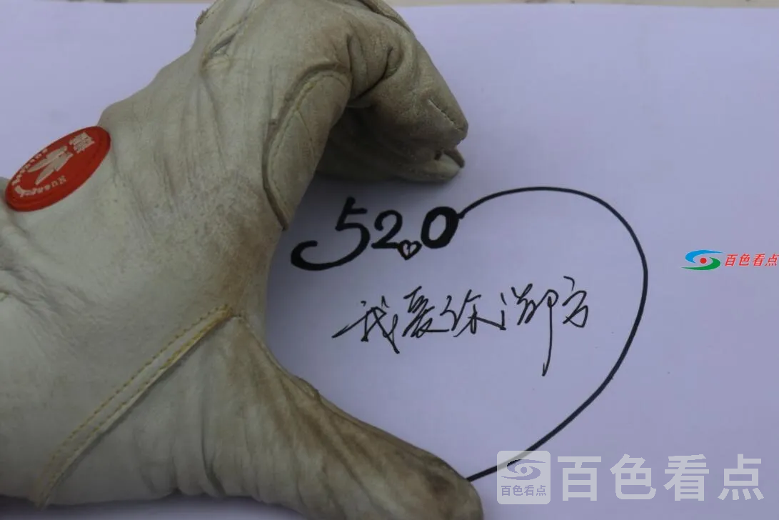 QQ截图20210520010915.webp