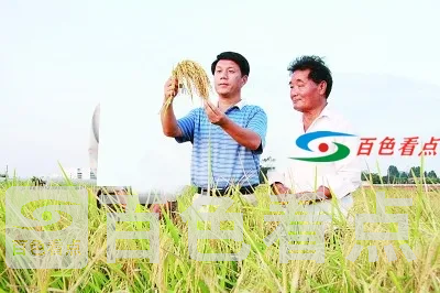 f44d305ea48e2217aada60 (1).webp