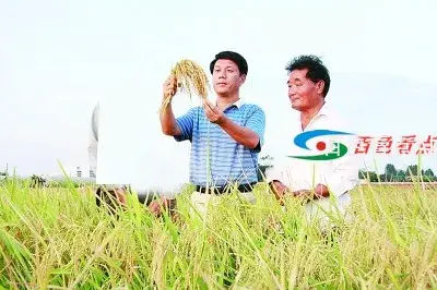 f44d305ea48e2217aada60 (1).webp