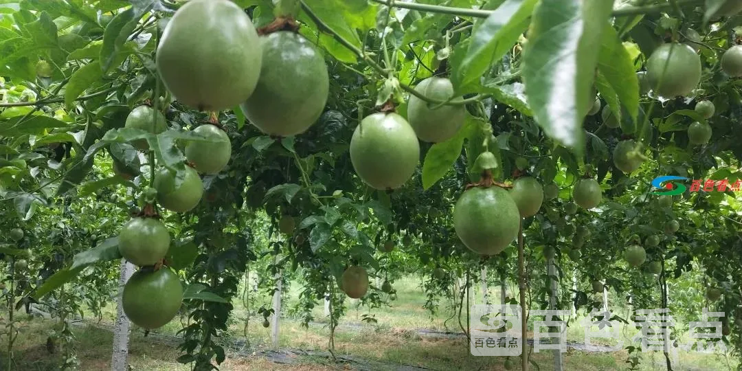 微信图片_20210531183539.webp
