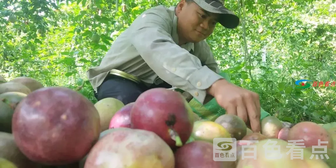 微信图片_20210531183536.webp