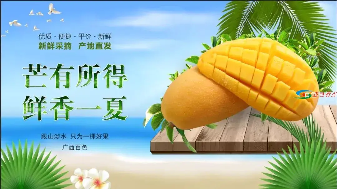 2.webp