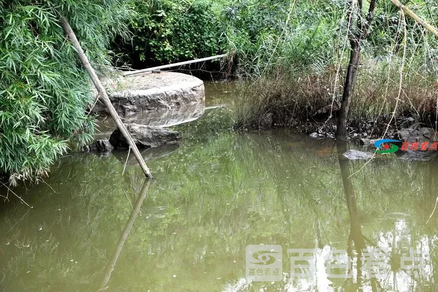 微信图片_20210618220236.webp
