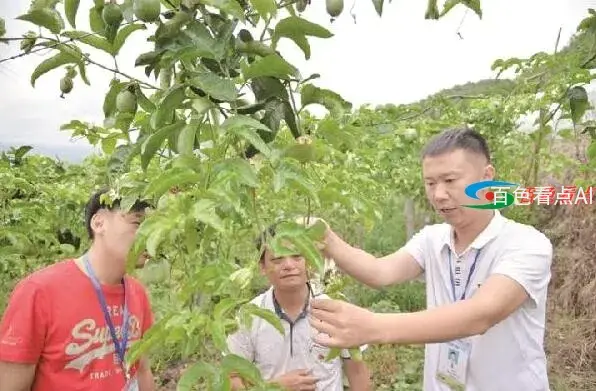 QQ截图20210621194054.webp