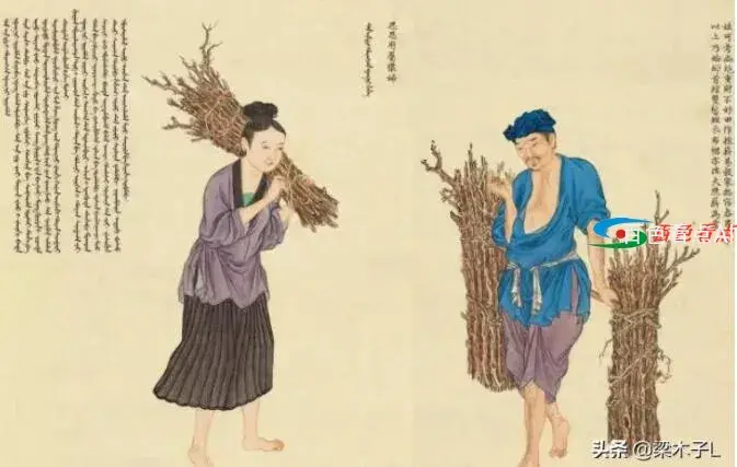 QQ截图20210625021446.webp