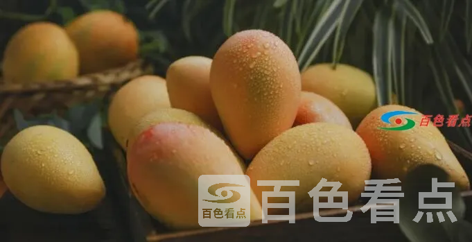 QQ截图20210629045629.webp