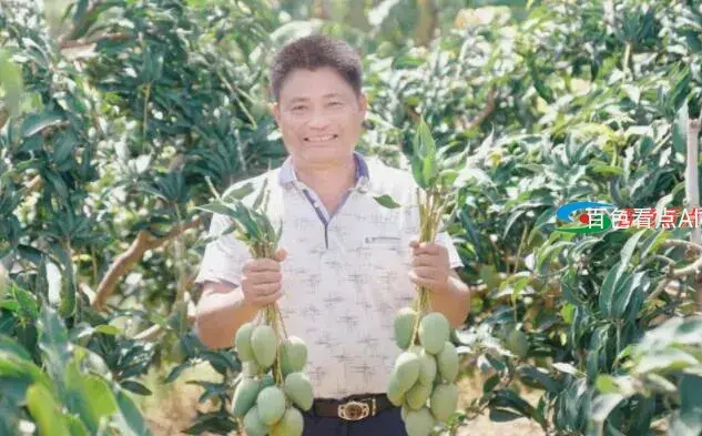 QQ截图20210629045650.webp