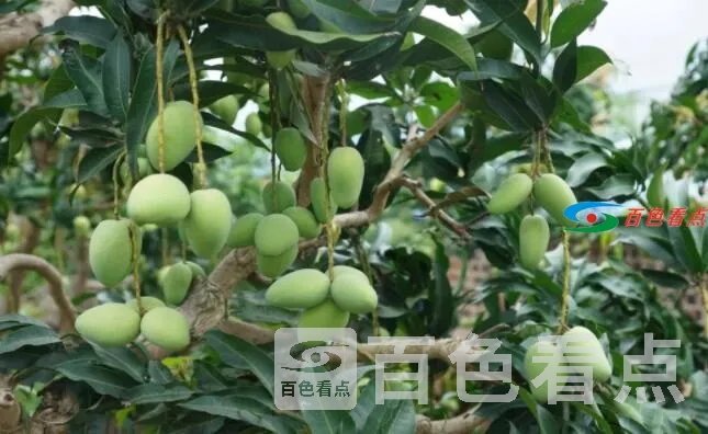 QQ截图20210629045823.webp