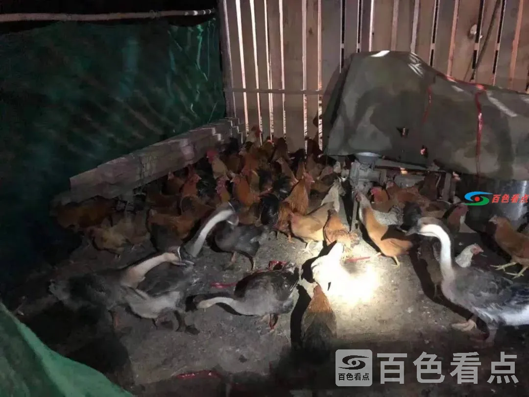 微信图片_20210703145322.webp