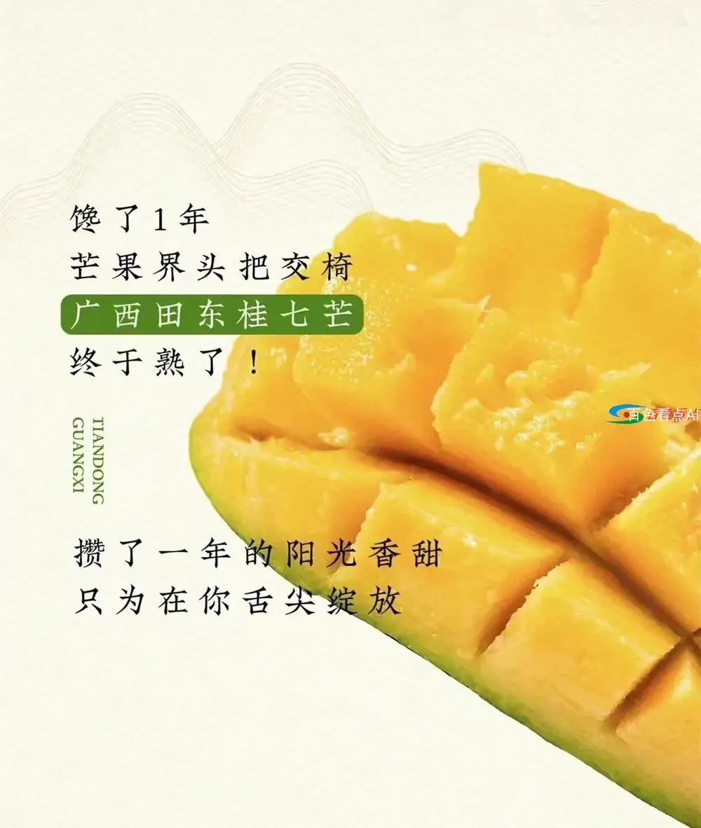 2.webp