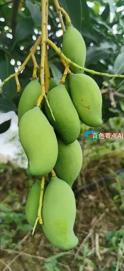 QQ截图20210705115355.webp