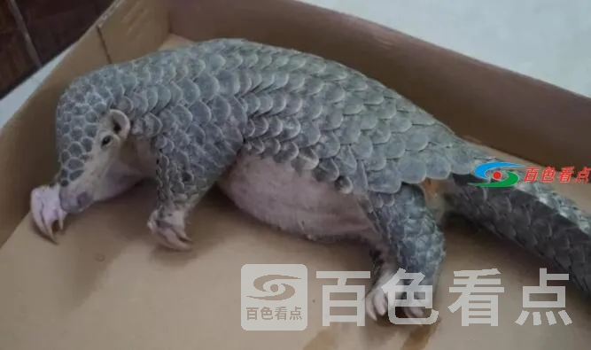 QQ截图20210721011810.webp