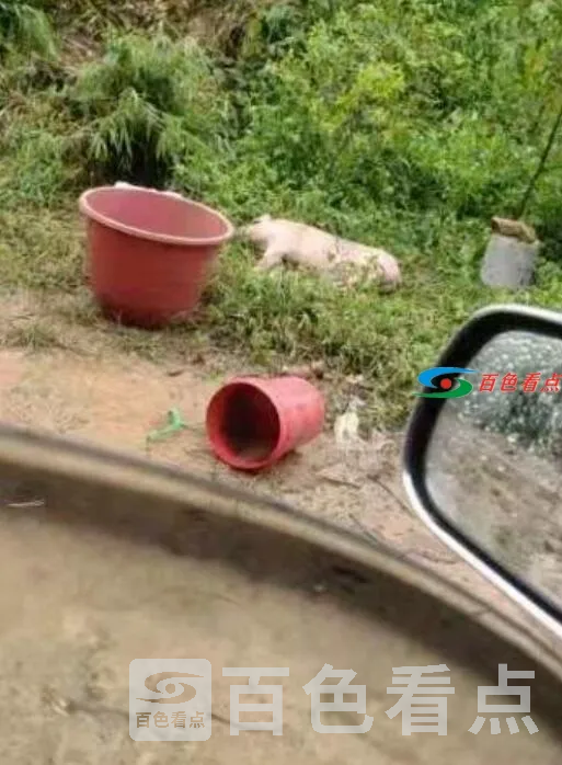 QQ截图20210723084619.webp