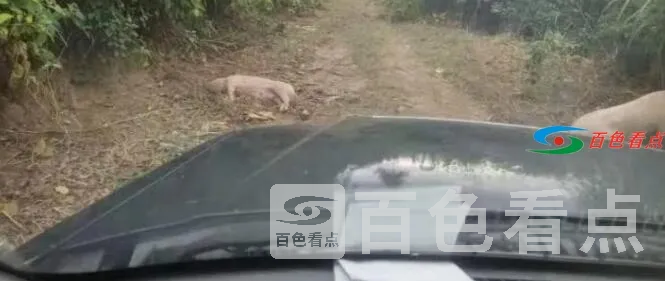 QQ截图20210723084612.webp