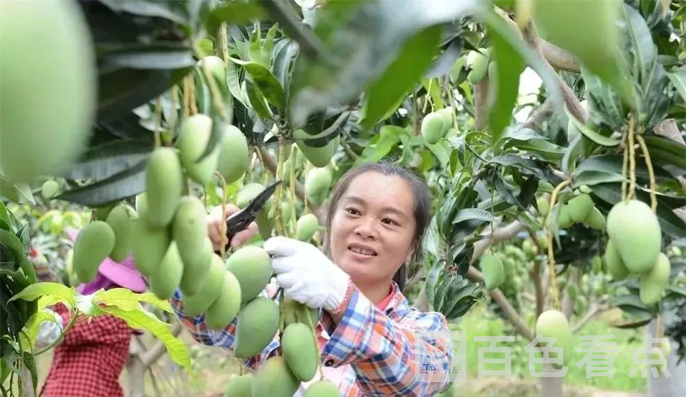 640.webp (23) - 副本.webp