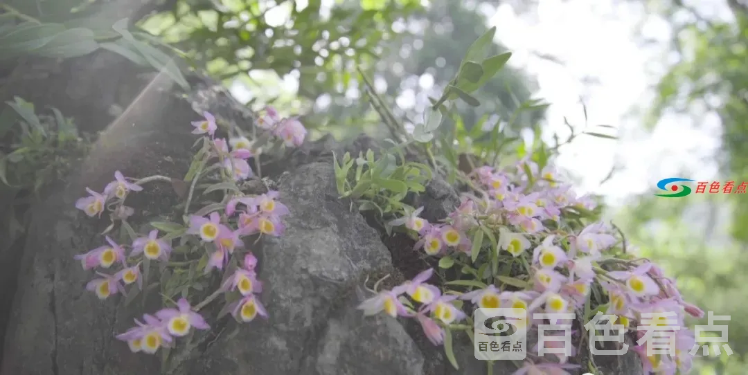 640.webp (28).webp
