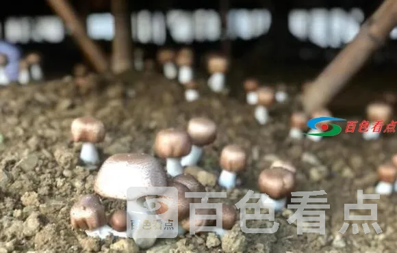 QQ截图20210730200454.webp
