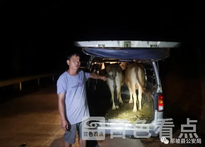 QQ截图20210811064201.webp