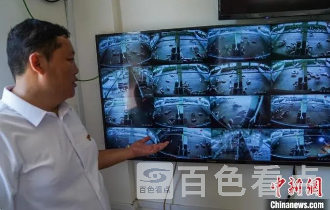 QQ截图20210828184249.webp