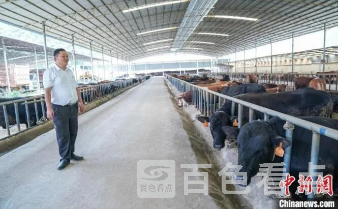 QQ截图20210828184239.webp