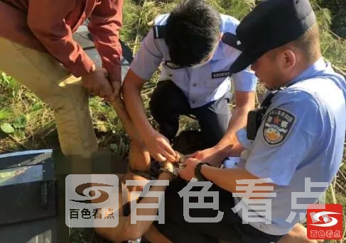 QQ截图20210903214348.webp