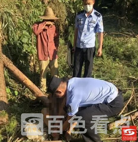 QQ截图20210903214331.webp