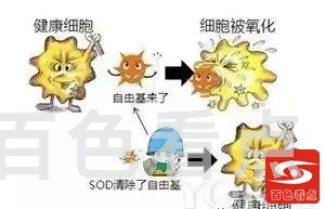 1.webp