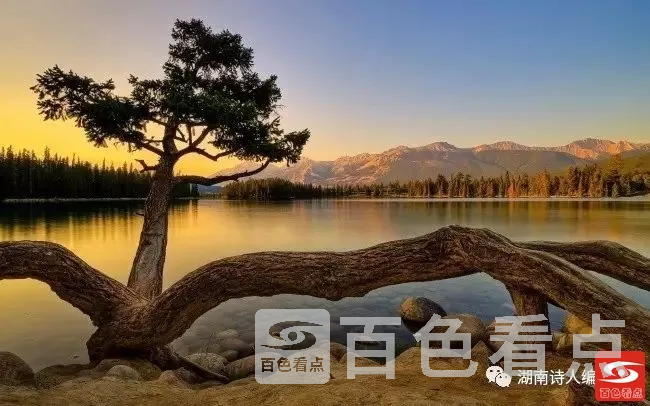 0 (1).webp
