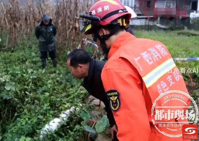 QQ截图20211018052825.webp