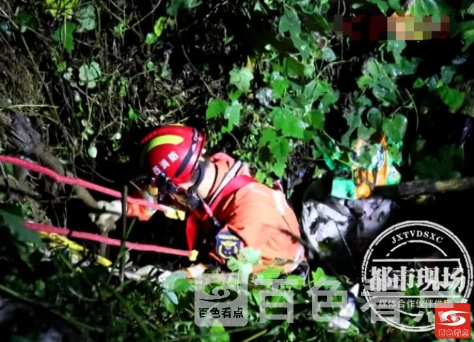 QQ截图20211018052832.webp