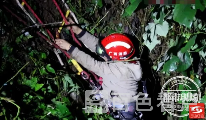 QQ截图20211018052848.webp