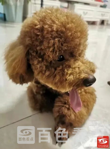 QQ截图20211019075405.webp