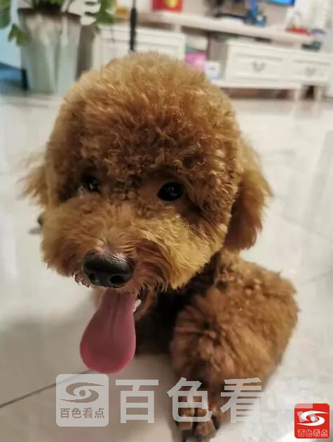 QQ截图20211019075417.webp