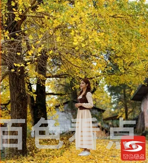 8d4dda2c397ebf2dc195673a9028a1e3.webp