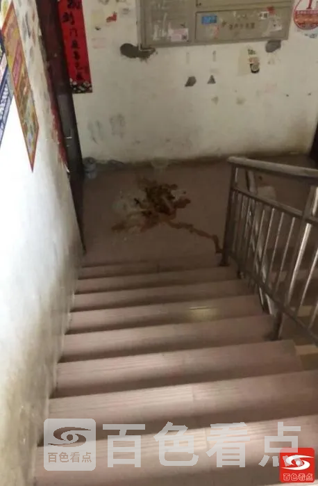 QQ截图20211019105001.webp