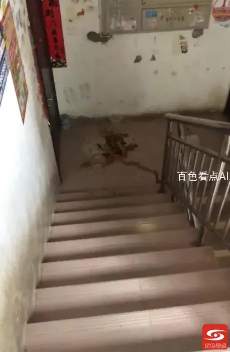 QQ截图20211019105001.webp