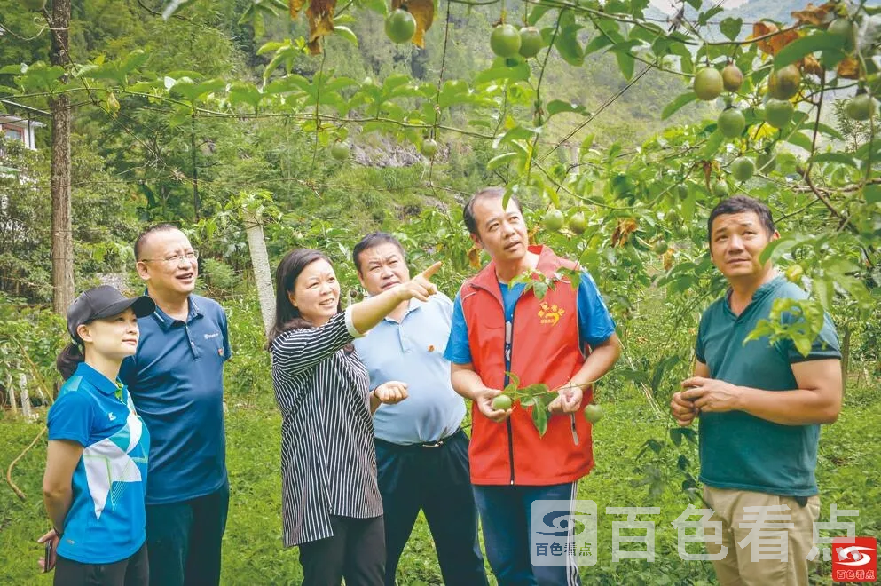 QQ截图20211025122317.webp