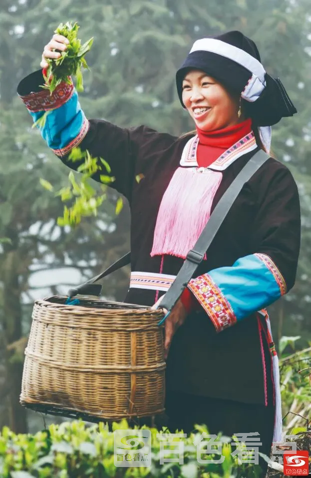 QQ截图20211025122415.webp