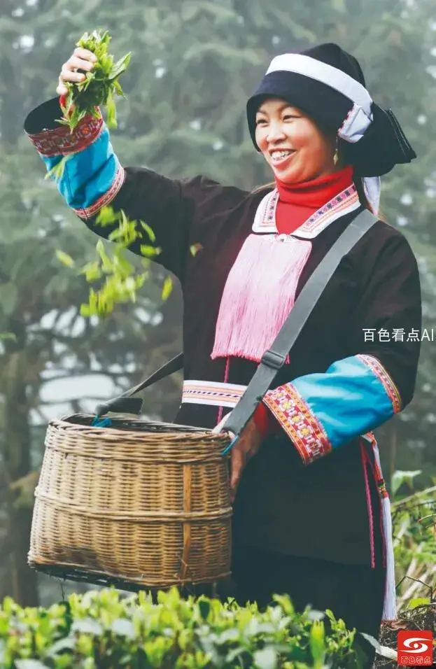 QQ截图20211025122415.webp