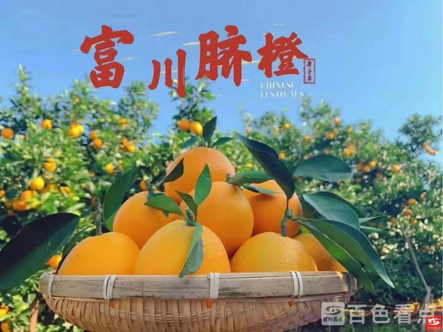 2.webp