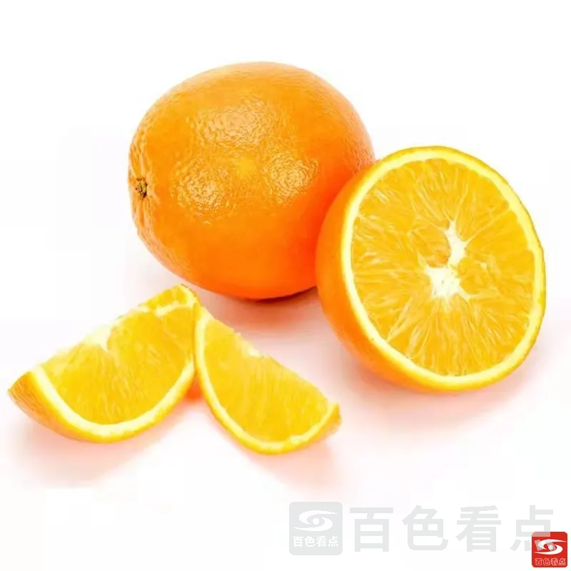 4.webp