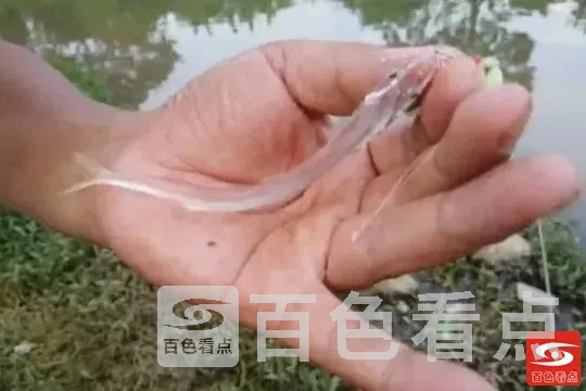 微信图片_20211028114139.webp