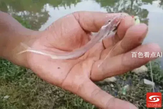 微信图片_20211028114139.webp