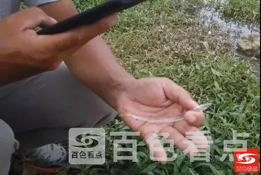 微信图片_20211028114144.webp